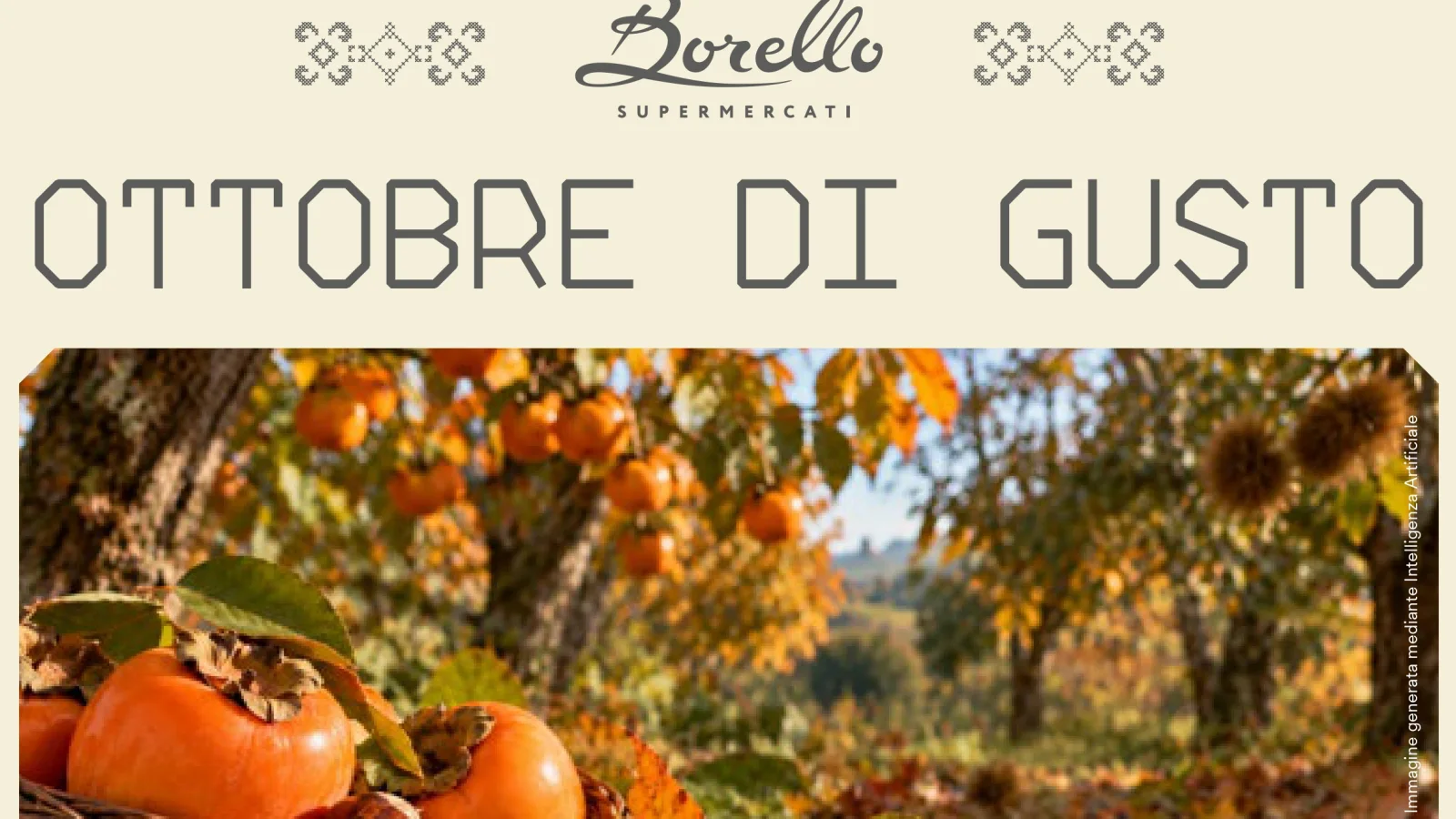 Le nostre offerte